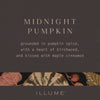 Illume Mercury Pumpkin Candle