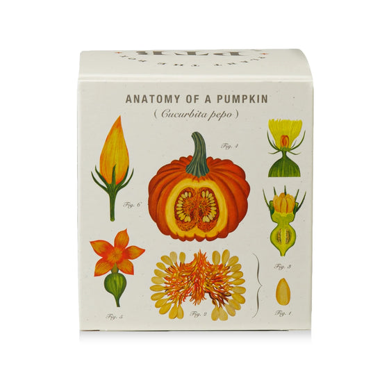 Half Moon Pumpkin Candle