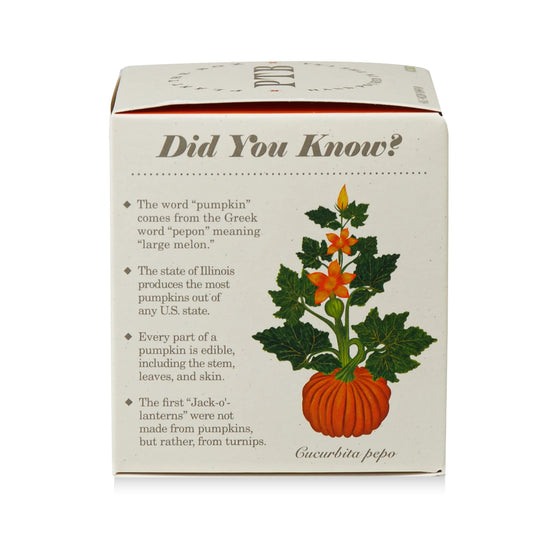 Half Moon Pumpkin Candle