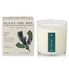 Rustic Pine Candle