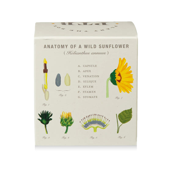 Sweet Sunflower Candle