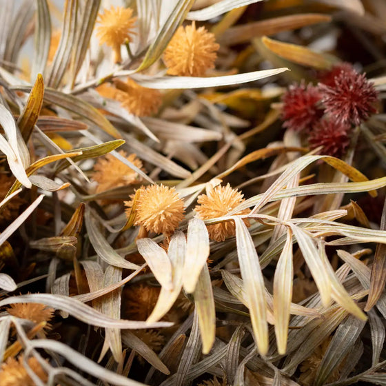 Fall Mixed Grass Bush Set of 3