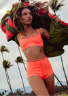 All Clear Logo Bra